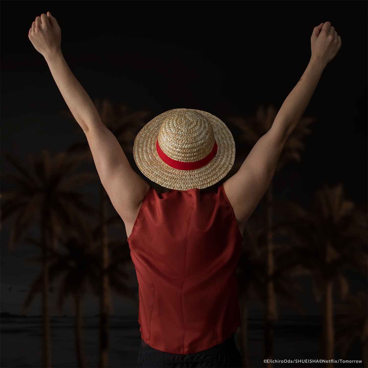 Cosplay Fire Prop - New One Piece Luffy Straw Hat
